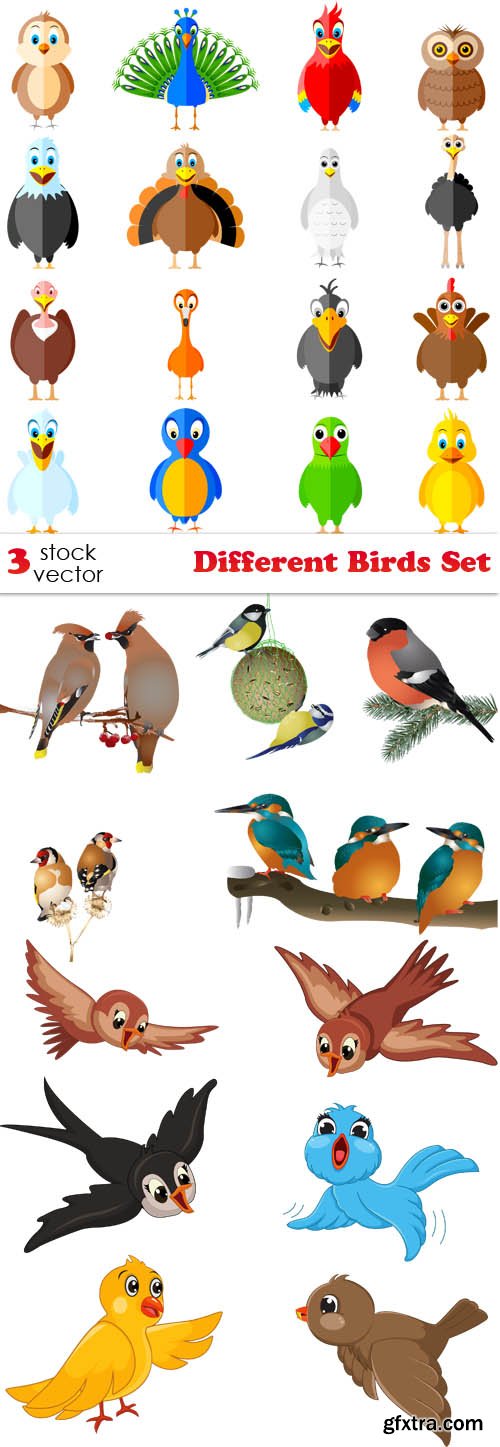 Vectors - Different Birds Set