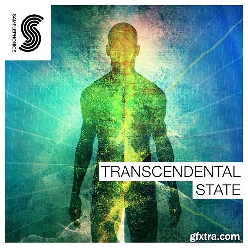 Samplephonics Transcendental State MULTiFORMAT-DISCOVER