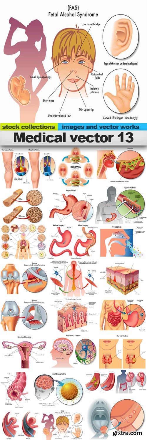 Medical vector 13,25 x EPS