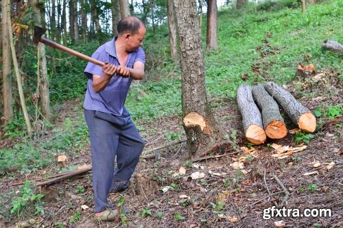 Collection woodcutters 25 UHQ Jpeg