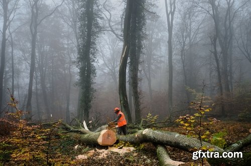 Collection woodcutters 25 UHQ Jpeg