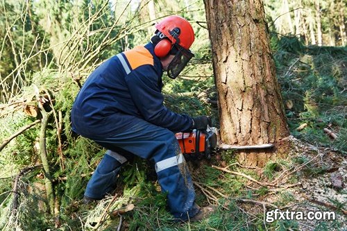 Collection woodcutters 25 UHQ Jpeg