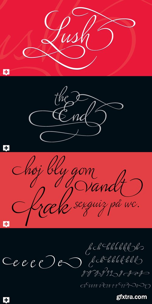 Lush Script Font Family $47.20