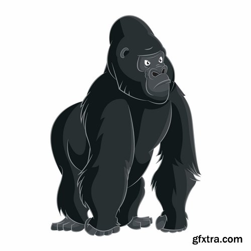 Collection of vector images of gorillas 25 Eps