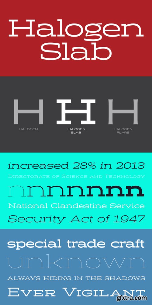 Halogen Slab Font Family $160