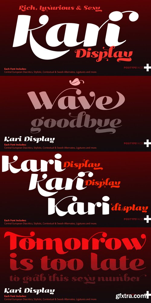 Kari Display Font Family $392