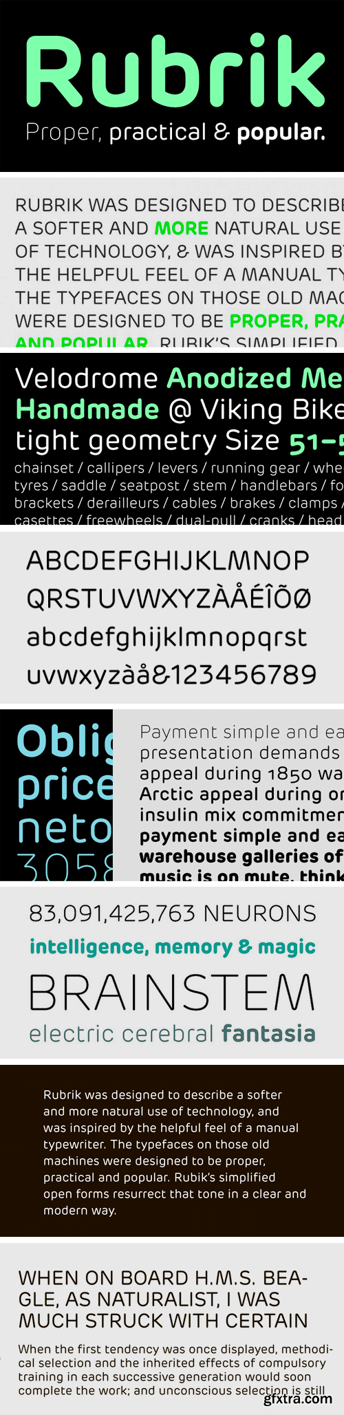 Rubrik Font Family - 12 Fonts $550