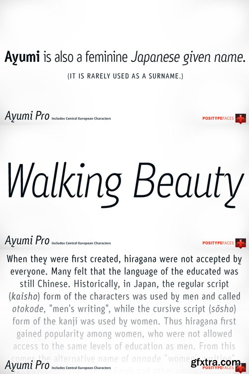 Ayumi Pro Font Family $119.20