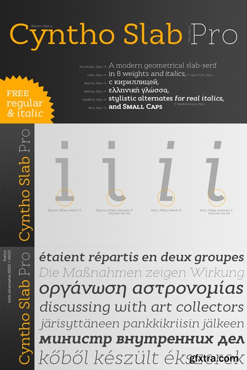 Cyntho Slab Pro Font Family $280