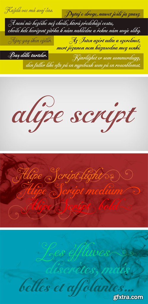 Alipe Script Font Family - 3 Fonts $69