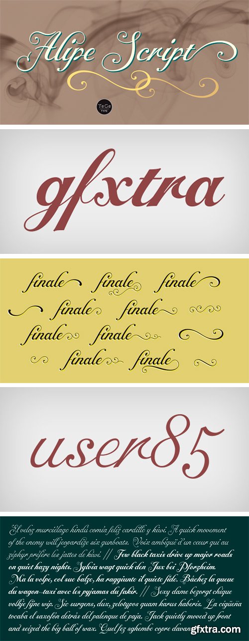 Alipe Script Font Family - 3 Fonts $69