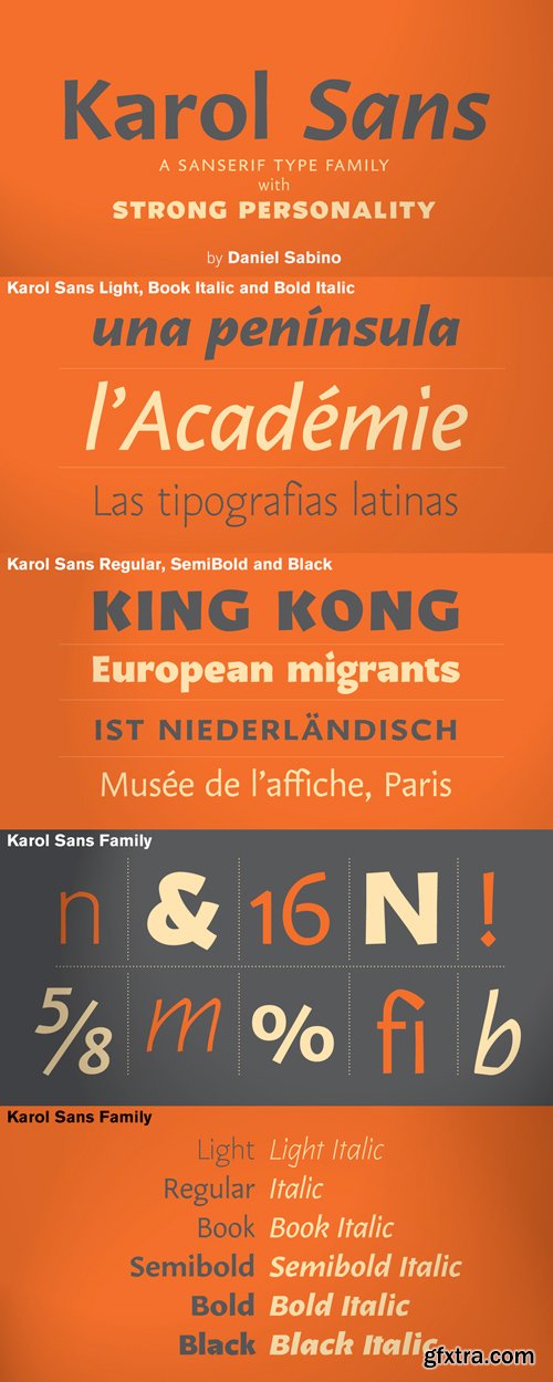 Karol Sans Font Family $790