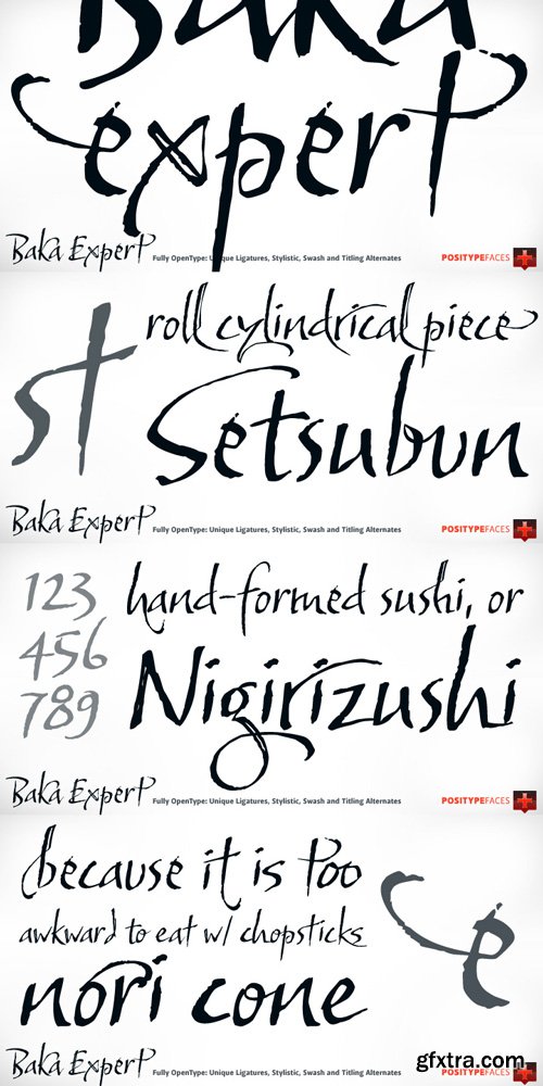 Baka Expert Font Family $25