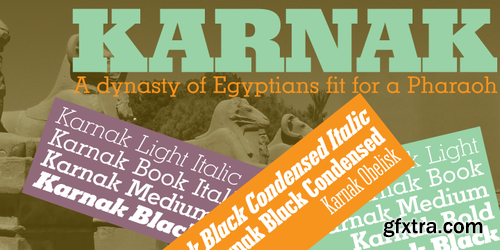 Karnak Pro Font Family $720