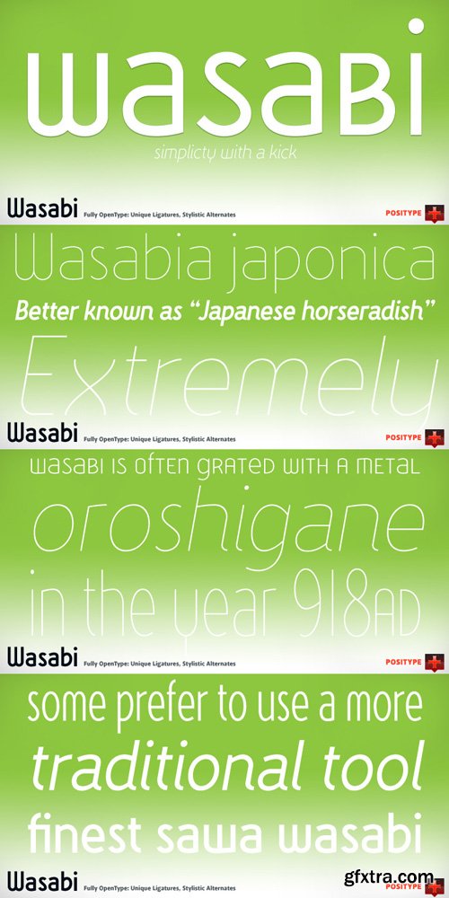 Wasabi Font Family $325