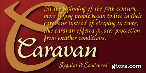 Caravan Script Font Family $70