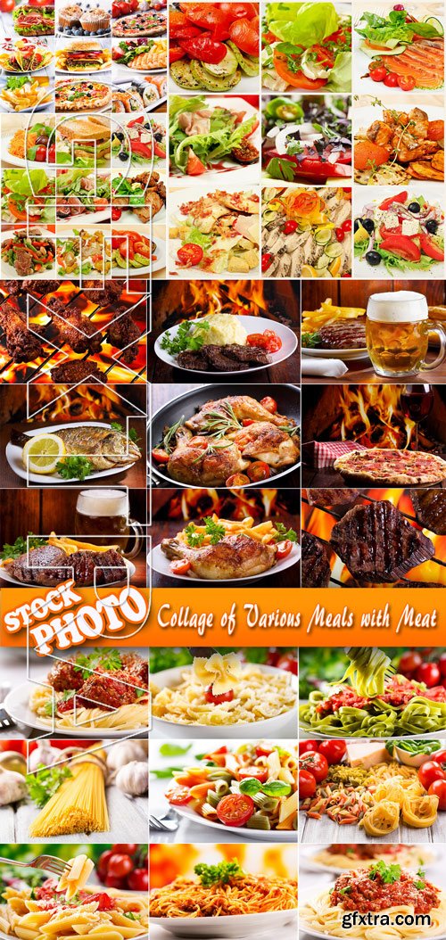 Stock Photo - Collage of Various Meals with Meat