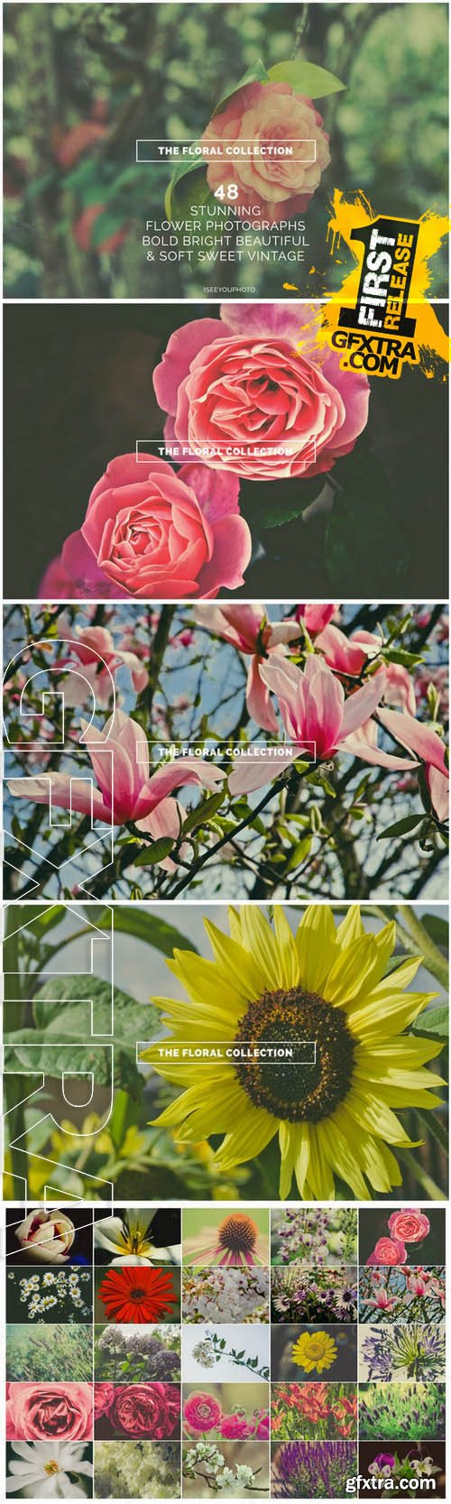 The Floral Collection - Iseeyouphoto - Creativemarket 63282