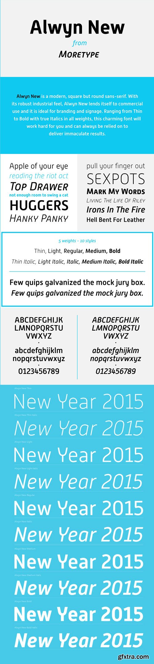 Alwyn New Font Family 10xOTF $200