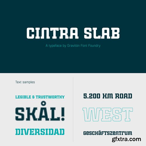 Cintra Slab Font Family $90