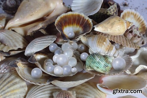 Collection of luxurious pearls 25 UHQ Jpeg