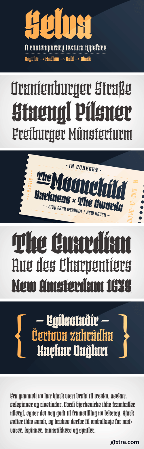 Selva Font Family - 4 Fonts $149