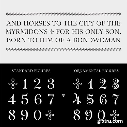 Aria Pro Font Family 2 Font $100