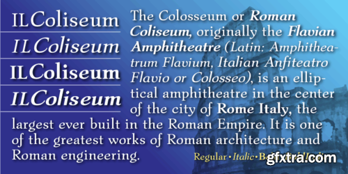 Il Coliseum Font Family $150