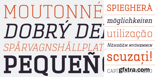 Selektor Slab Font Family $140