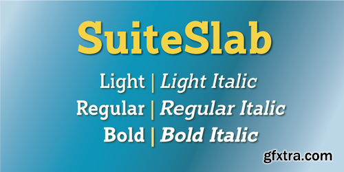 Suite Slab Font Family $230