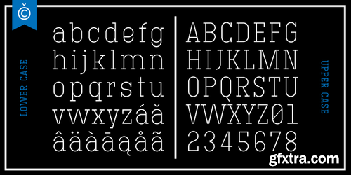 Technik Serif Font Family $75