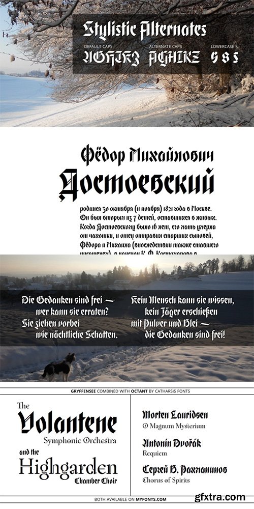 Gryffensee Font Family 4 Font $120