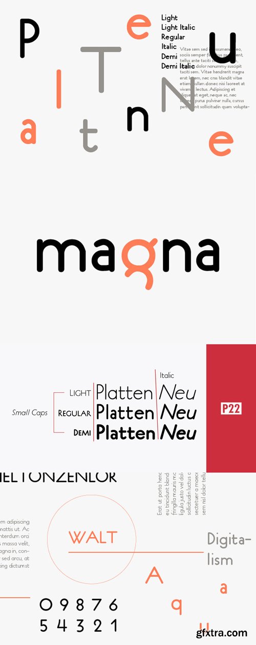 P22 Platten Neu Font Family $169.95