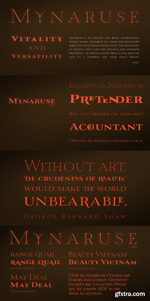 Mynaruse Font Family $72