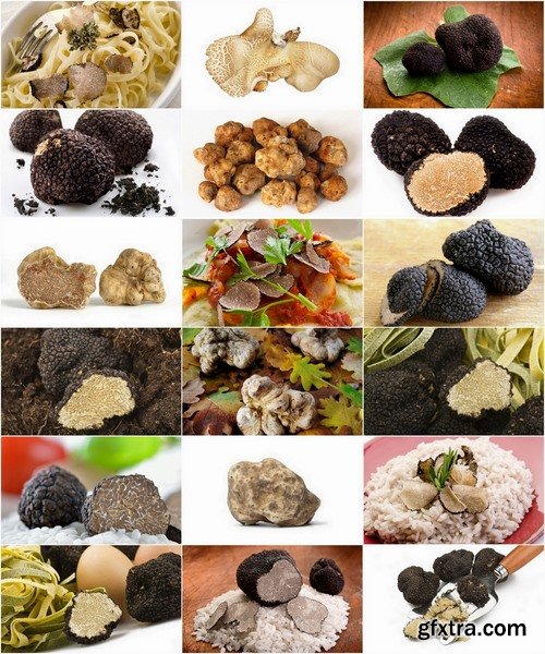 Collection of different truffles 25 UHQ Jpeg