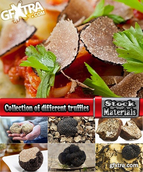 Collection of different truffles 25 UHQ Jpeg