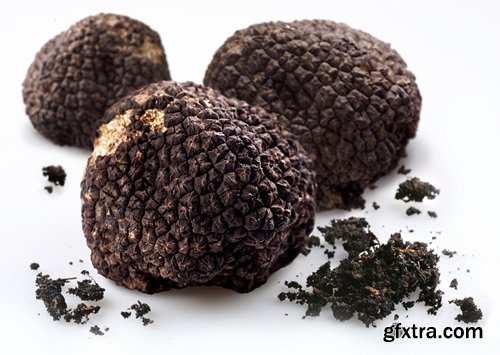 Collection of different truffles 25 UHQ Jpeg