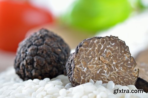 Collection of different truffles 25 UHQ Jpeg