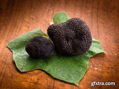 Collection of different truffles 25 UHQ Jpeg