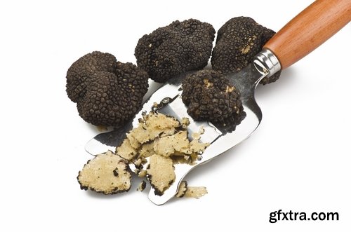 Collection of different truffles 25 UHQ Jpeg