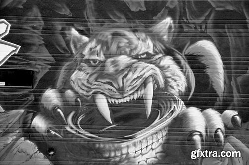 Collection of various images of graffiti 25 UHQ Jpeg