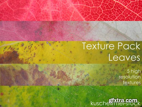 Leaves - Textures Pack