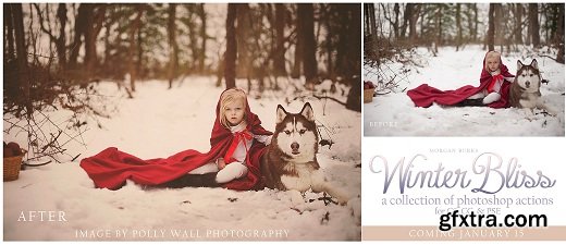 Morgan Burks - Winter Bliss Collection of Photoshop Actions