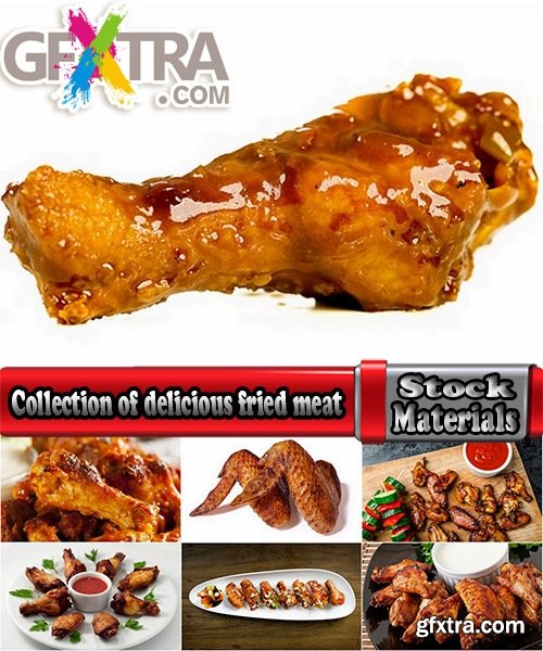 Collection of delicious fried meat 25 UHQ Jpeg