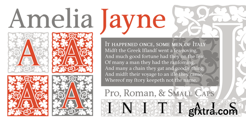 P22 Amelia Jayne Font Family $80