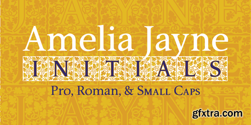 P22 Amelia Jayne Font Family $80