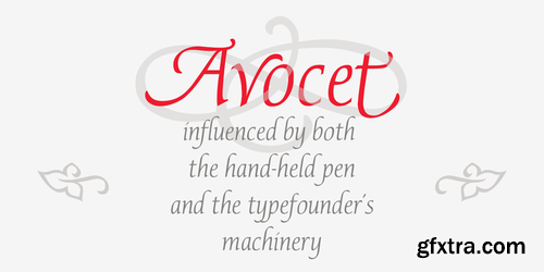 P22 Avocet Font Family $80