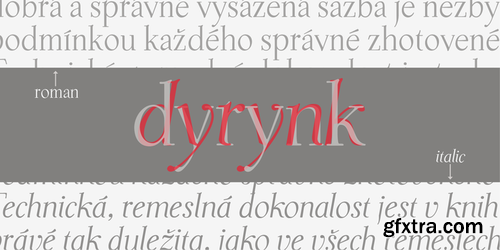 P22 Dyrynk Font Family $50