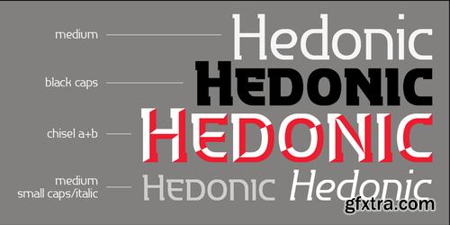 P22 Hedonic Font Family $140