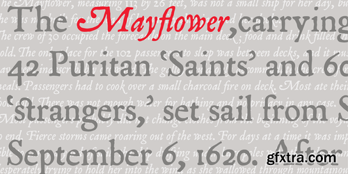 P22 Mayflower Font Family $150